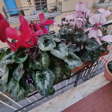 Bed & Breakfast Estia Domus Pompeji
